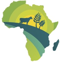 Afrimex Group logo - Similar company to Destech Co