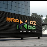 BrandzIndia Services Pvt Ltd logo - Similar company to Textricks Solutions Pvt. Ltd.