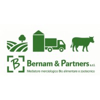 Bernam & Partners Srl logo - Similar company to Sopred