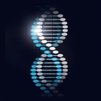 KOMO Biosciences logo - Similar company to Ldv Partners