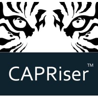 CAPRiser Group logo - Similar company to Chromatic Data