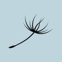 IMAGENE.ME logo - Similar company to Qrit