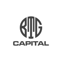 BTG CAPITAL INC logo - Similar company to Argyle Fox Inc.