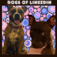 Dogs Of LinkedIn logo - Similar company to Pierrepark