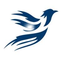FLYINNO logo - Similar company to Codeswave