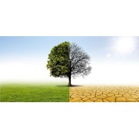 Green KSA logo - Similar company to Gpeco للبيئة