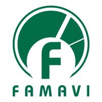 FAMAVI logo - Similar company to Kopal