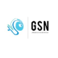 GSN Medical Solutions, LLC logo - Similar company to Global Solutions Network Limited