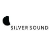 Silver Sound Inc logo - Similar company to Techno Blitz Services Private Limited