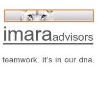 Imara Advisors logo - Similar company to Synapses Partners