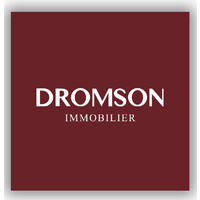 DROMSON IMMOBILIER logo - Similar company to Remax Authentic
