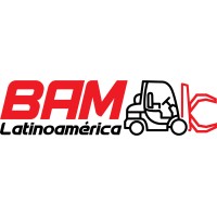 BAM Latinoamérica logo - Similar company to Servicios Pingon Chile