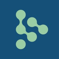Saleon AG logo - Similar company to Techcareer.Ch