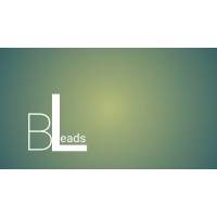 B Leads Digital Private Limited logo - Similar company to Aptivista Solutions