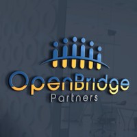 Open Bridge Partners logo - Similar company to Homes Nyc Group