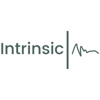The Intrinsic Care Group logo - Similar company to Core Controls Ltd