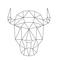 Bizon Geology logo - Similar company to Dynamic Gravity Systems, Llc