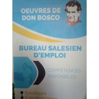 BUREAU SALESIEN D'EMPLOI/ DON BOSCO AFC logo - Similar company to Hermos Transport