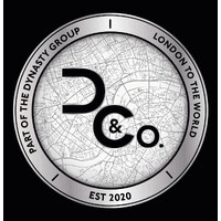 Dynasty & Co logo - Similar company to Vgroup International