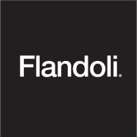 Flandoli Studio logo - Similar company to 2K Content Co