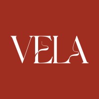 Vela logo - Similar company to Celeste Group