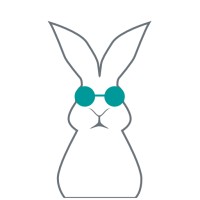 BRAINXON logo - Similar company to Cape People Development