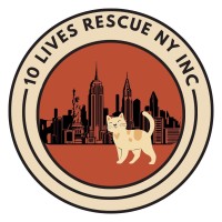 10 Lives Rescue NY Inc logo - Similar company to Sankaty Wealth Management | Northwestern Mutual