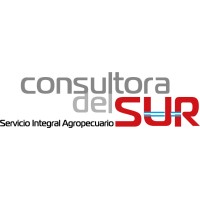 Consultora del Sur