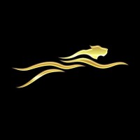 poweredbycheetah logo - Similar company to Digibuzz Indonesia