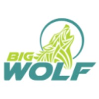 Big Wolf Marketing (Australia) logo - Similar company to Media Tonic