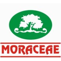 Moraceae Pharmaceuticals Pvt Ltd logo - Similar company to Mission Pmt - India