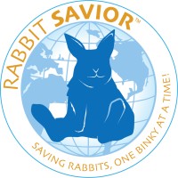 Rabbit Savior logo - Similar company to Journey Business Solutions, Inc.