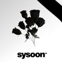 Sysoon logo - Similar company to We Are Talentist