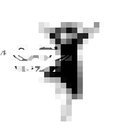 Brave New World Agency logo - Similar company to Blanchestories