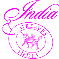 Greaves Travel India Private Limited logo - Similar company to Net Prophet Events