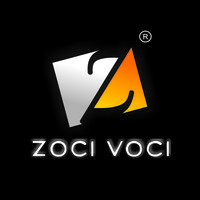 Zoci Voci logo - Similar company to Evercore Digital Solutions