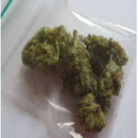 Marijuana supplier wold wide logo - Similar company to Prestodoctor