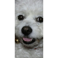 ComplyHound (formerly FHR) logo - Similar company to Fhr Solutions