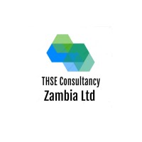 THSE Consultancy Zambia Ltd logo - Similar company to Zesco Training Centre