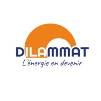 DILAMMAT logo - Similar company to Asep'Net