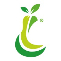 Industrias Pear S.A. de C.V logo - Similar company to Vancity Mx