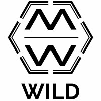 Wild Scaling Solutions