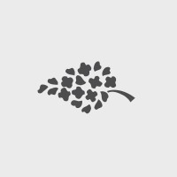 Peacock Alley logo - Similar company to Ampthink