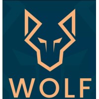 Wolf Group consulting logo - Similar company to Intecon