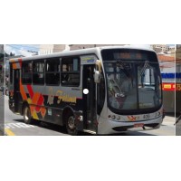 Nossa Senhora de Fátima Auto-Ônibus Ltda. logo - Similar company to Expresso Real