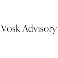 Vosk Advisory logo - Similar company to Vosk