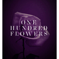 One Hundred Flowers logo - Similar company to Kelp Systems Ltd