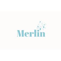 Merlin logo - Similar company to Quantiflex Simulations