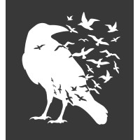 White Crow LLC logo - Similar company to Ann Nafi