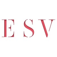 ESV - Business advice and accounting logo - Similar company to Esv Group